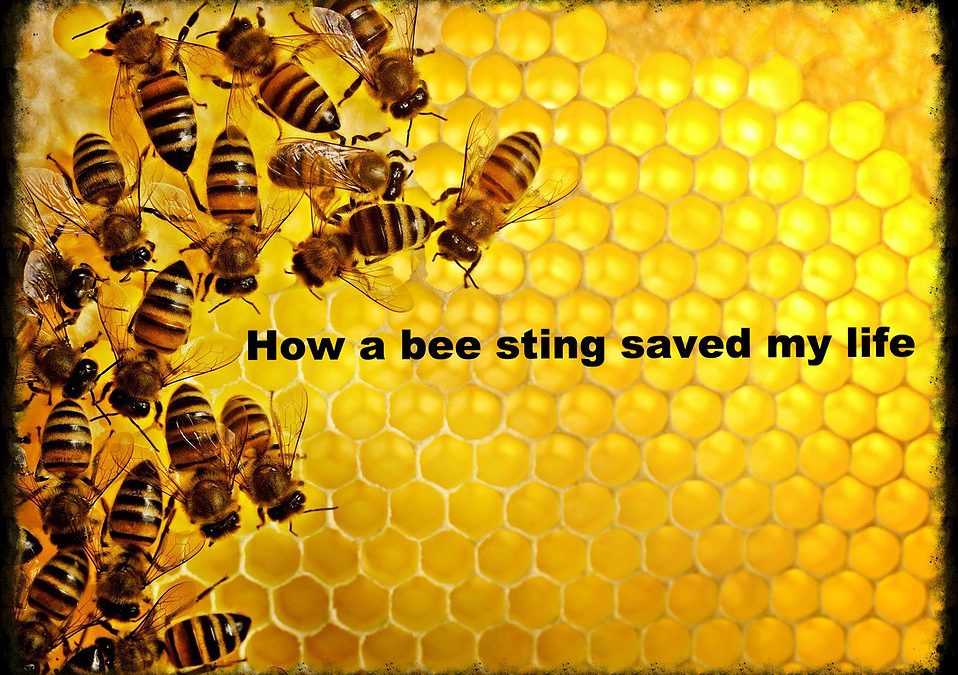 How A Bee Sting Saved My life